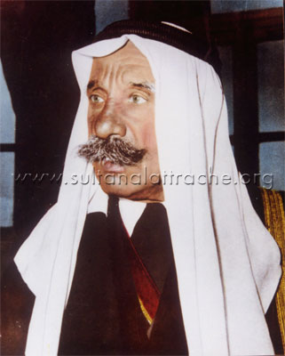 سلطان باشا الأطرش في العقد السابع من العمر